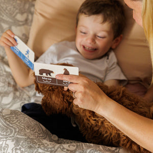 Rapotačky II. - Prvé vety, jednotné a množné číslo, opozitá a predložky